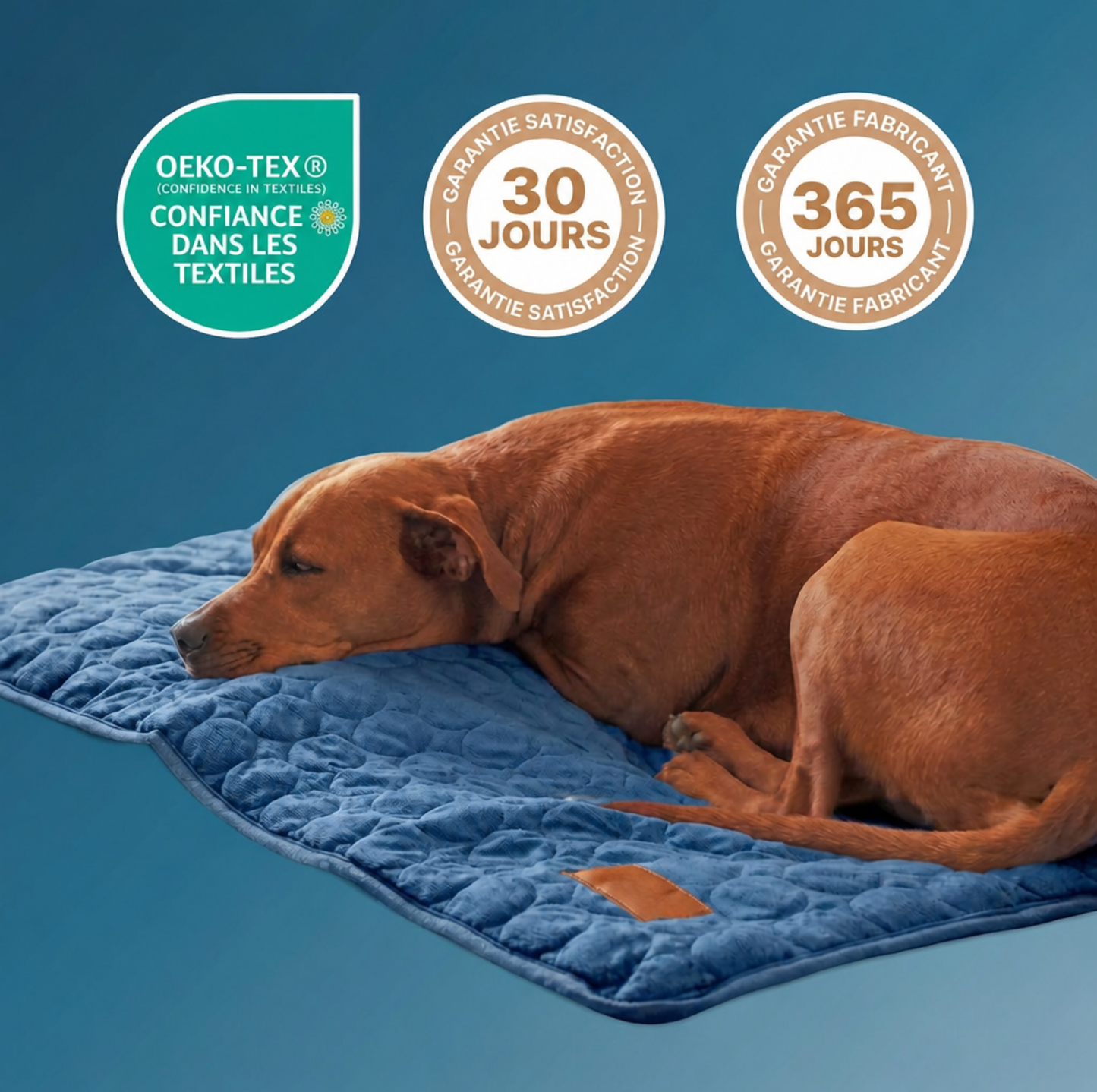 Tapis rafraîchissant