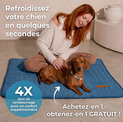Tapis rafraîchissant