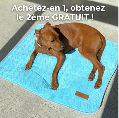 Tapis rafraîchissant