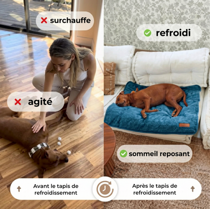 Tapis rafraîchissant