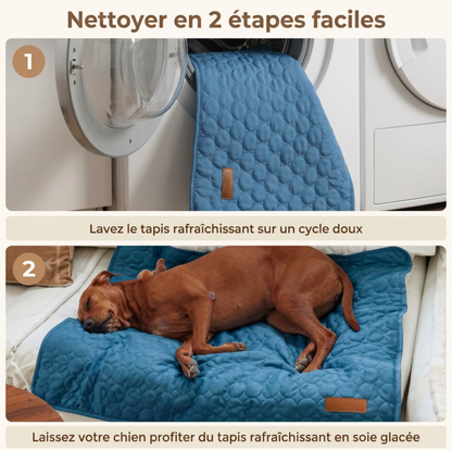 Tapis rafraîchissant