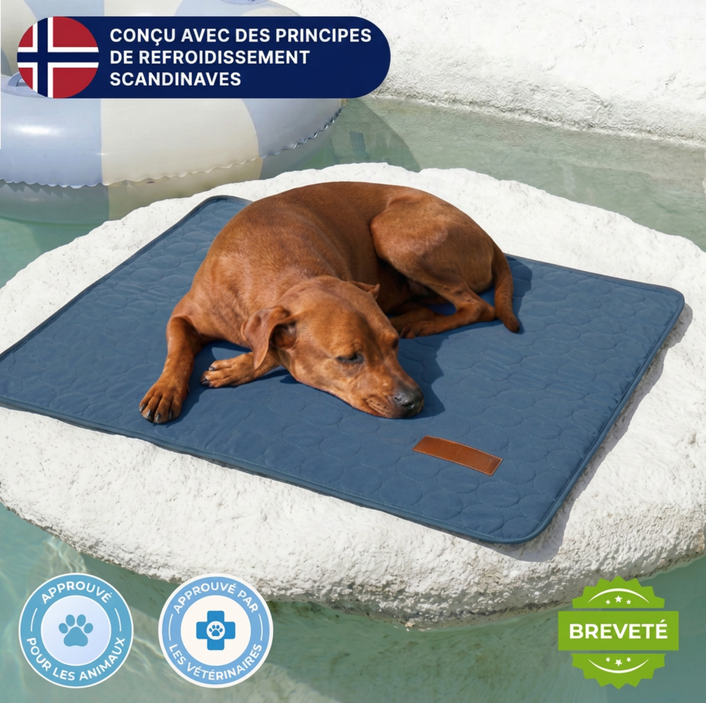 Tapis rafraîchissant