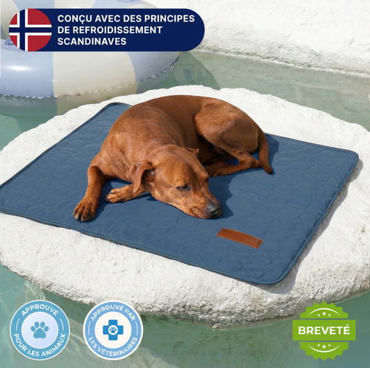 Tapis rafraîchissant
