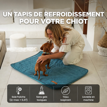 Tapis rafraîchissant